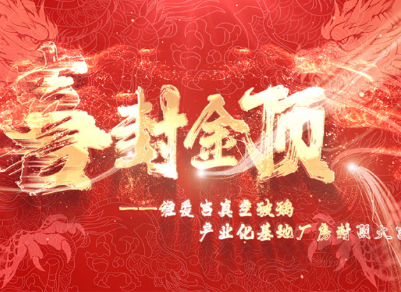 维爱吉真空玻璃厂房封顶大吉